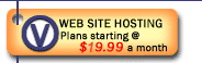 WEB SITE HOSTING