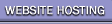 WEBSITE HOSTING